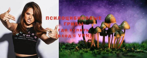 прущие крисы Пролетарск