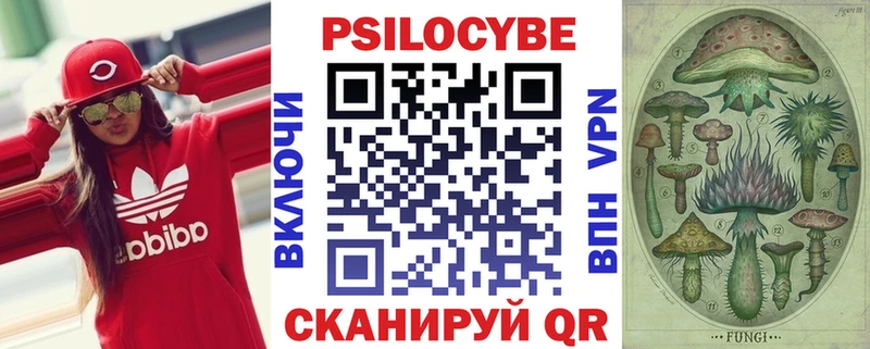 наркота  дарк нет состав  гидра как зайти  Псилоцибиновые грибы Psilocybe  Карабаш 